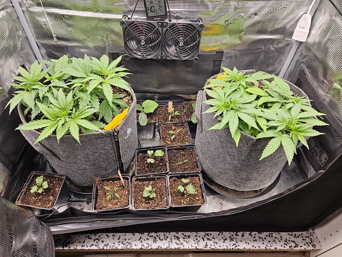 Growreport Bild 9