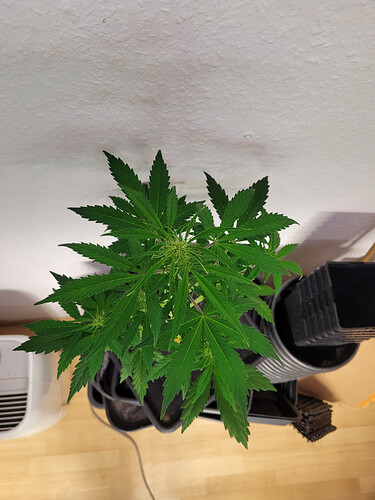 Growreport Bild 9