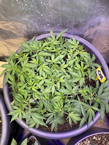 Growreport Bild 10