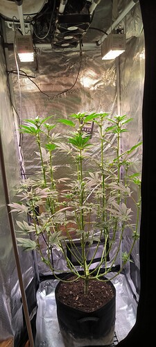 Growreport Bild 8