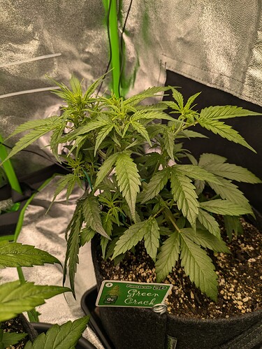 Growreport Bild 20