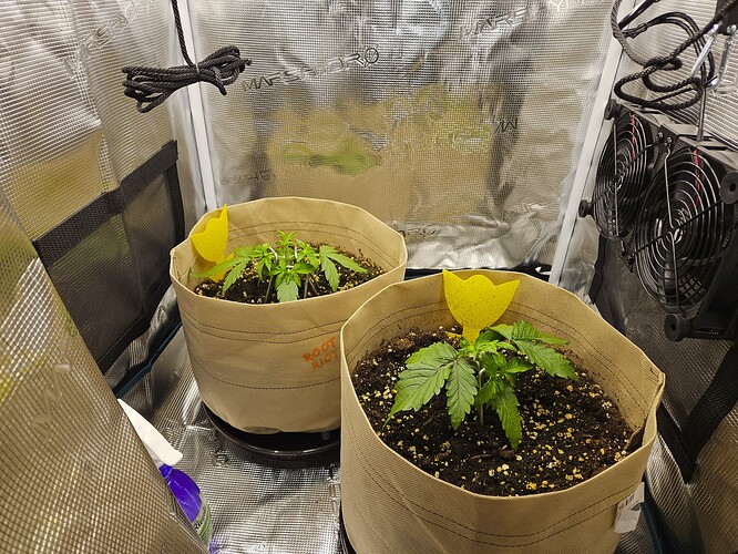 Growreport Bild 27