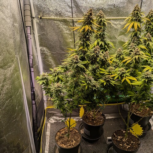 Growreport Bild 8
