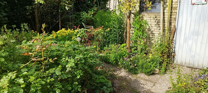 Growreport Bild 23