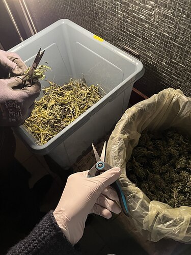 photo_2024-11-04_23-25-11