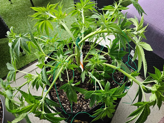 Growreport Bild 11