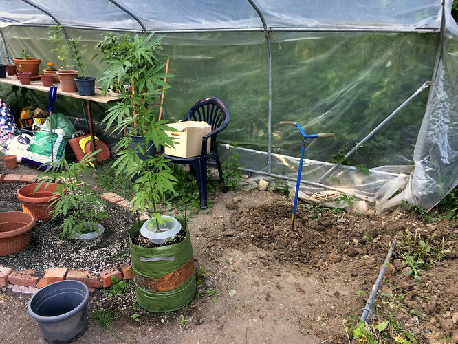 Grow26_0710_10