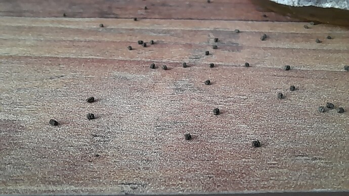 Growreport Bild 4