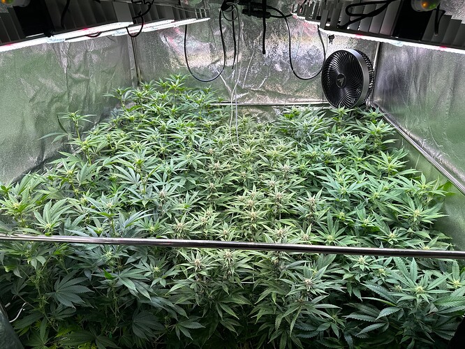 Growreport Bild 17
