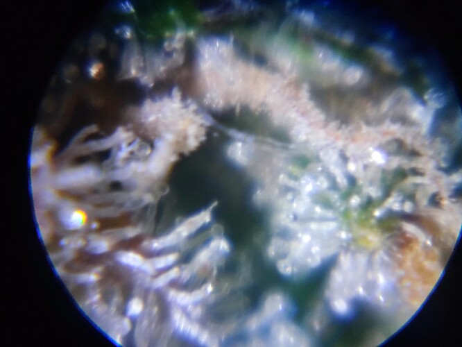 Growreport Bild 47