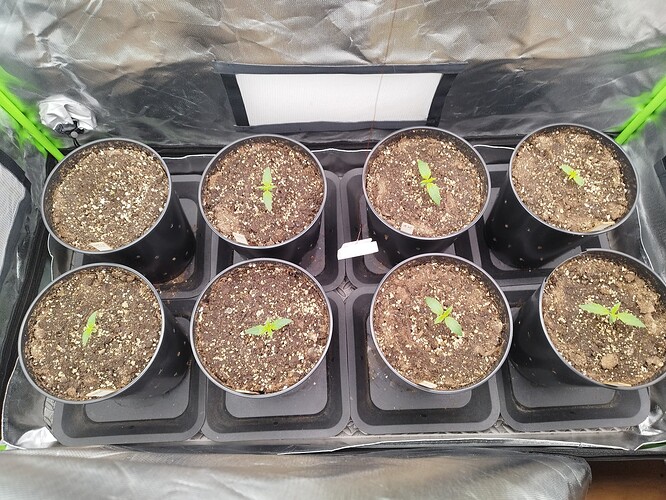 Growreport Bild 16