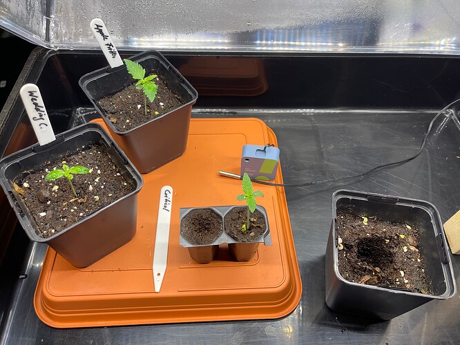 Growreport Bild 13