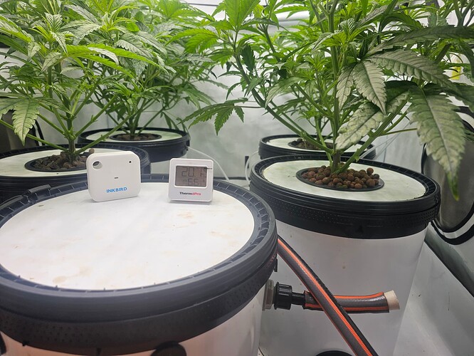 Growreport Bild 24