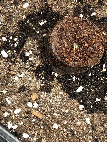 Growreport Bild 18