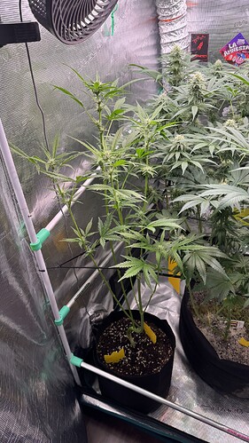Growreport Bild 17