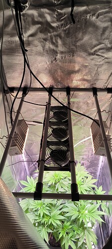 Growreport Bild 4