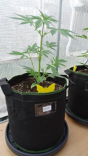 Growreport Bild 10