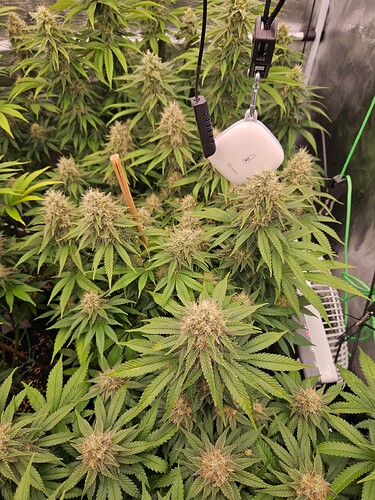 Growreport Bild 24