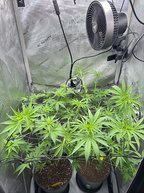 Growreport Bild 1