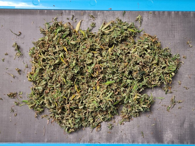 Growreport Bild 9