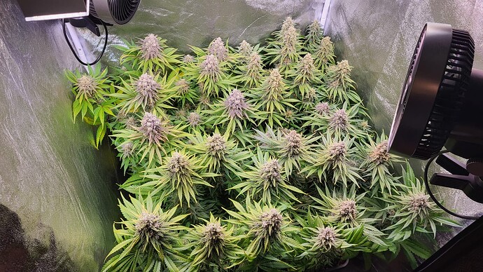 Growreport Bild 8