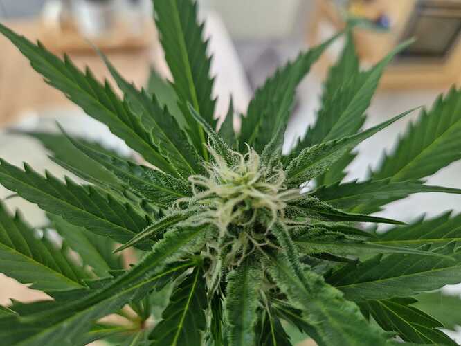 WhatsApp Image 2024-05-24 at 16.08.17 (3)