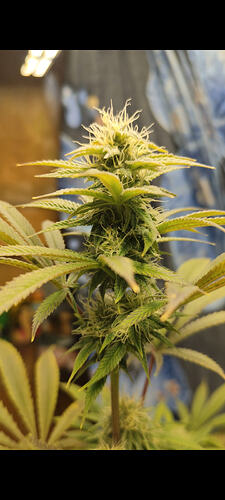 Screenshot_2026-02-22-20-03-18-521_com.miui.gallery