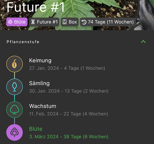 Growreport Bild 6