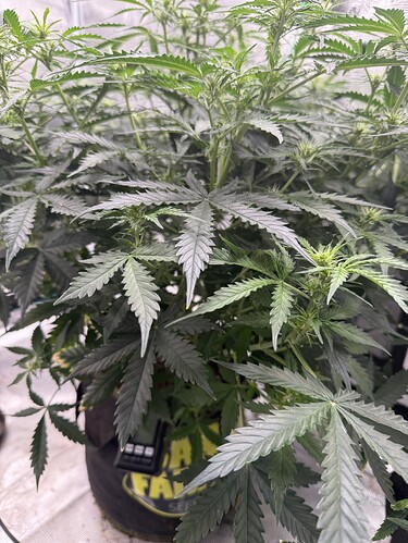 Growreport Bild 13