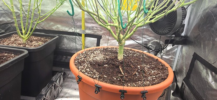 Growreport Bild 12
