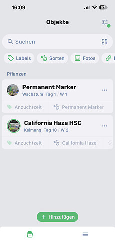 Growreport Bild 13