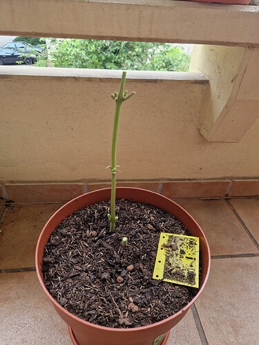 Growreport Bild 17