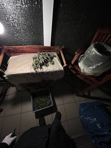 photo_2024-11-04_23-25-22