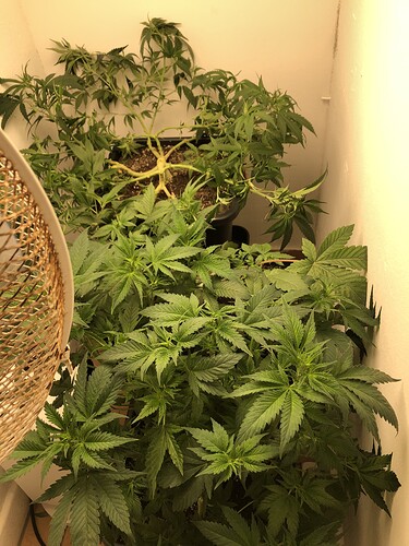 Growreport Bild 6