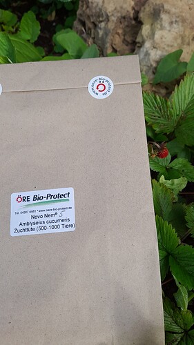 Growreport Bild 31