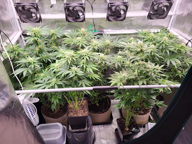 Growreport Bild 1