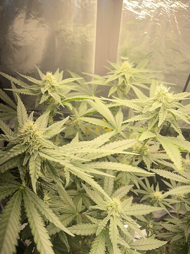 Growreport Bild 5