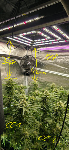 Growreport Bild 26