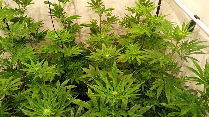 Growreport Bild 18