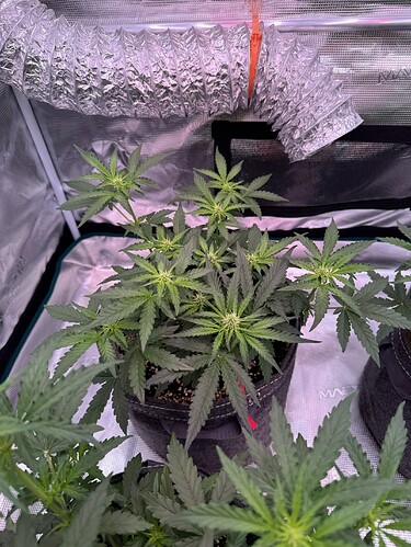 Growreport Bild 28