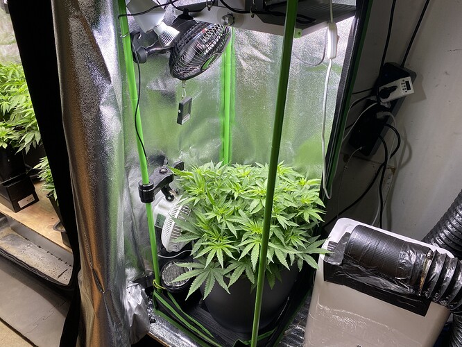 Growreport Bild 82