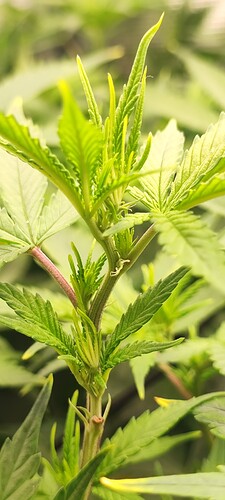 Growreport Bild 9