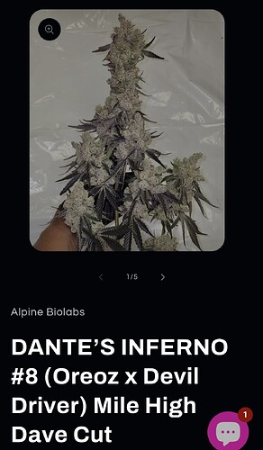 Growreport Bild 21