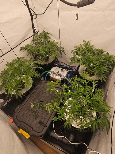 Growreport Bild 1
