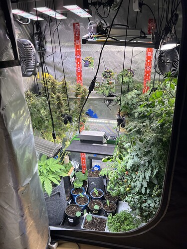 Growreport Bild 18