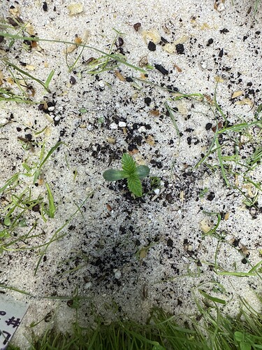 Growreport Bild 17