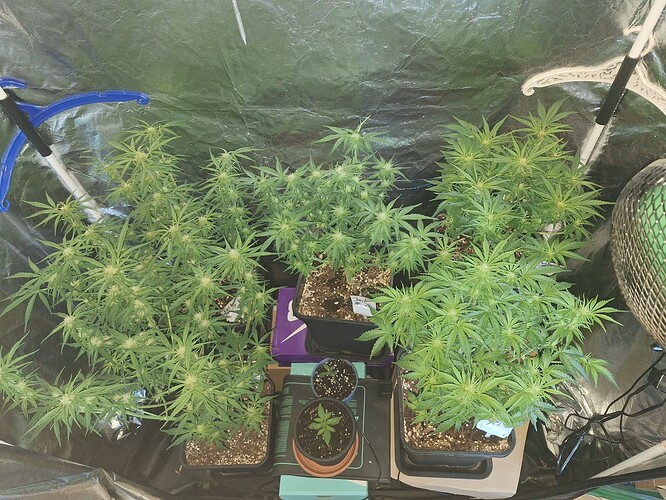 Growreport Bild 2