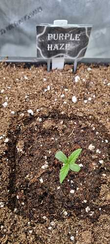 WhatsApp Image 2025-11-19 at 21.56.45