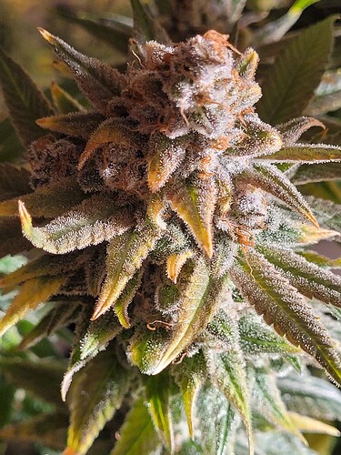 Growreport Bild 12