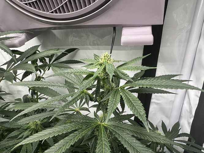 Growreport Bild 10